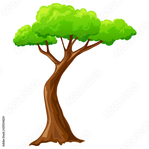 Vector: Cartoon isolated tree on white background Cartoon isolated tree on white background