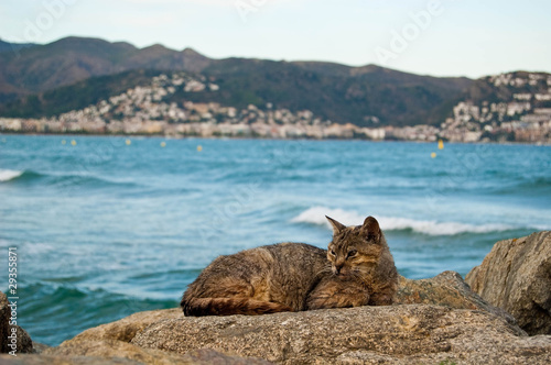 photo par Rickru
