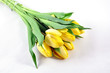 tulpen