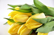 dutzend tulpen in gelb