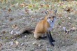 parc de la Mauricie