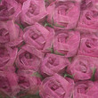 vintage grunge background with rose