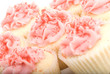 Pink Cupcakes with Sprinkles Pink Cupcakes with Sprinkles