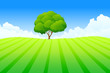 Fresh Landscape