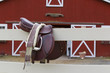 Riders Saddle