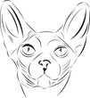 Vector sketch of the Canadian sphynx head.