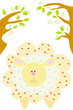 Cute sheep