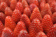 Présentation de fraises