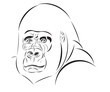 Vector sketch of the gorilla head tattoo style