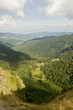 Blick ins Münstertal Blick ins Münstertal