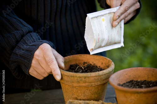 Photo: A man planting seeds in a pot A man planting seeds in a pot
