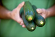 A man holding courgettes