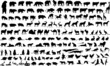 Vector illustration of animals, reptile and birds silhouettes