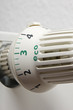Heizkörper, Thermostat