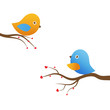 Two cute birds