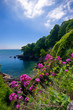 Dartmouth