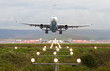 Airplane