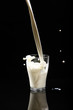 milk in glass