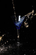 martini cocktail, drink
