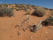 Desert