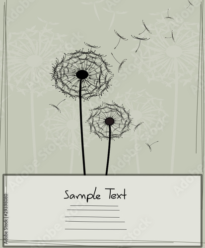 Vektor: Grusskarte Pusteblume Grusskarte Pusteblume