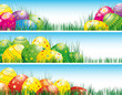 Easter banners with colorful Easter eggs in the young green gras