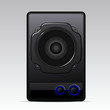 Black speaker
