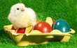 FRISCHE EIER ZU OSTERN