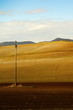 desolato