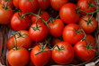 pomodoro