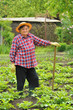 Senior woman gardening