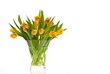 yellow tulips in a vase