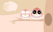 owls owls