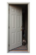 Open Door