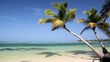 Tropical beach with palms Tropical beach with palms