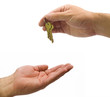hands giving keys