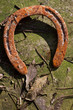 fer à cheval déco