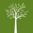 Photo en ligne au meilleur prix abstract tree