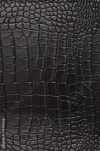 Foto: skin coccodrillo skin coccodrillo