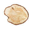 Tree stump isolated
