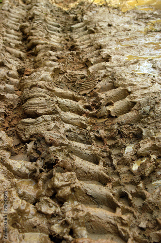 Photo: trail trail