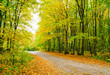Autumn park