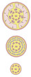 esquema de el esperma