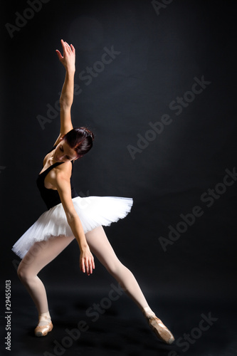 Photo: cigno cigno