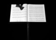 music stand on black