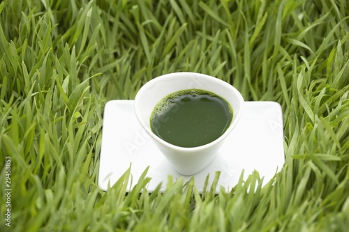 Photo: Shot of Wheatgrass Juice Shot of Wheatgrass Juice