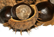 Photo: marrone 0032 marrone 0032