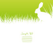 Easter Card Bunny Sitting In The Meadow