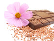 Chocolate bar with flower on white background
