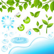 Collection Of Green Branches And Water Elements Collection Of Green Branches And Water Elements